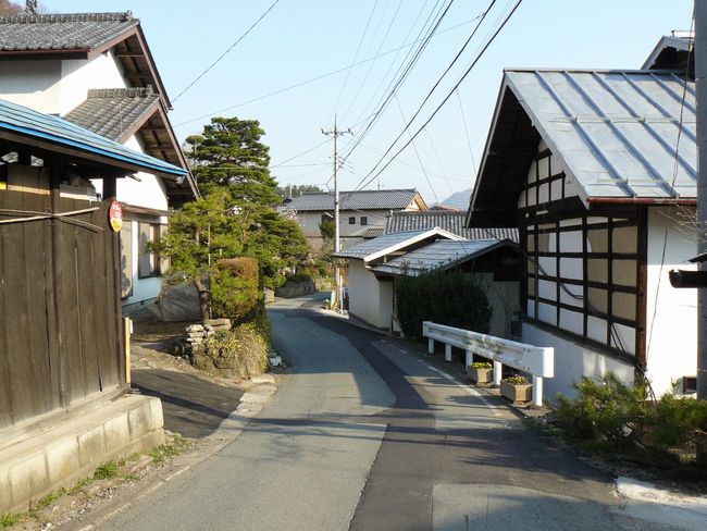 �Ԋ�W���F������