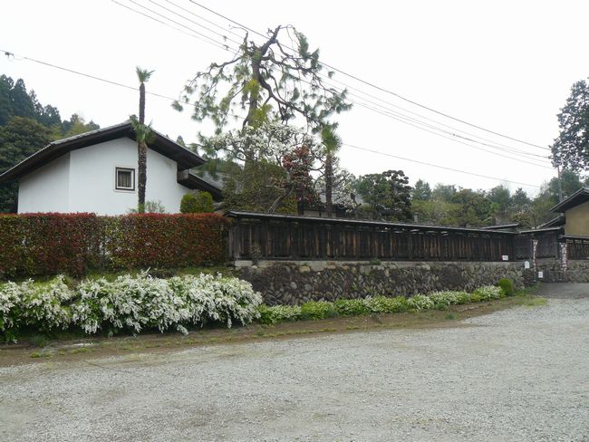 �����s�F�ܗ������{�w