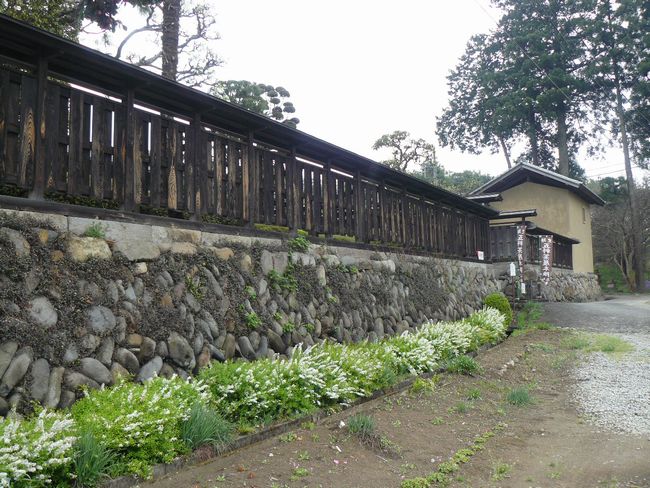 �����s�F�ܗ������{�w