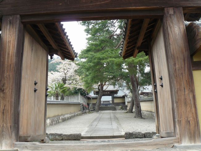 �����s�F��Ɏ�