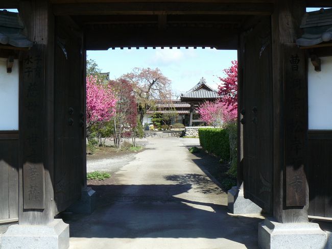 �����s�F���ݎ�