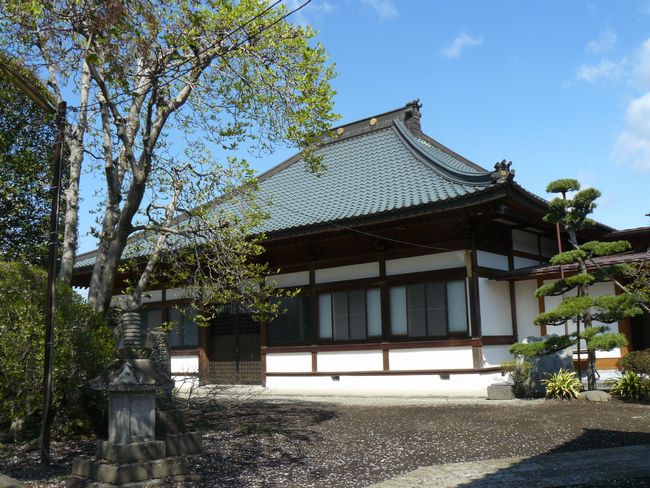 �����s�F���ݎ�