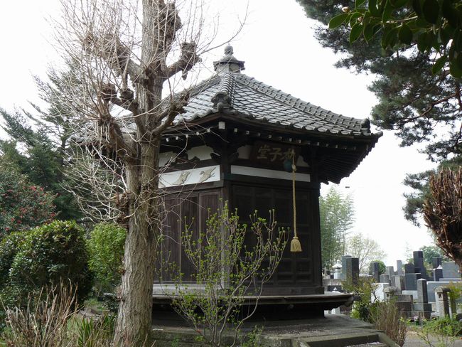 �����s�F���L��