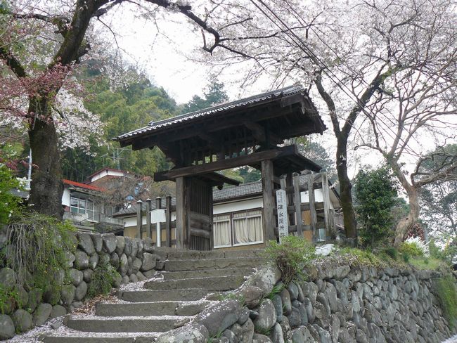 �����s�F�O�X�֏�