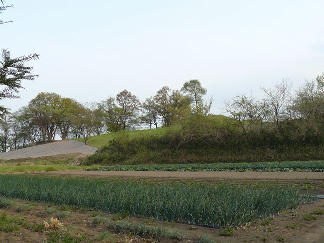 �����s�F���`�Õ�