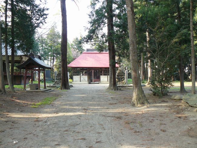 �����s�F�y�t�_��