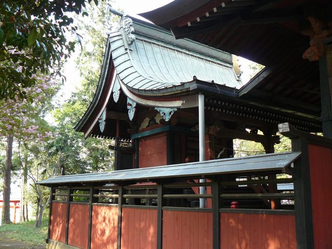 �����s�F�y�t�_��