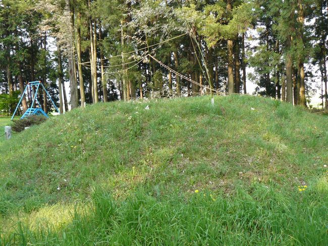 �����s�F�y�t�̒�