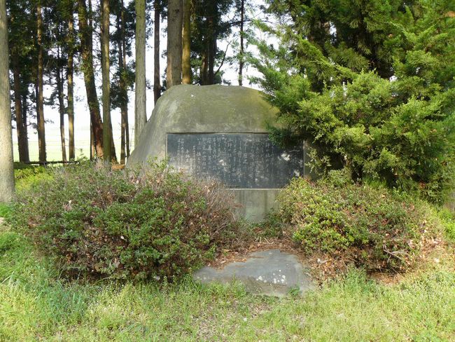 �����s�F�y�t�̒�