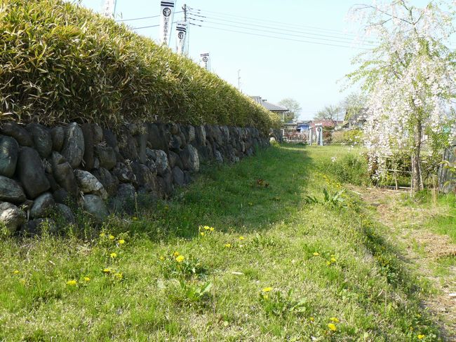 �����s�F�����