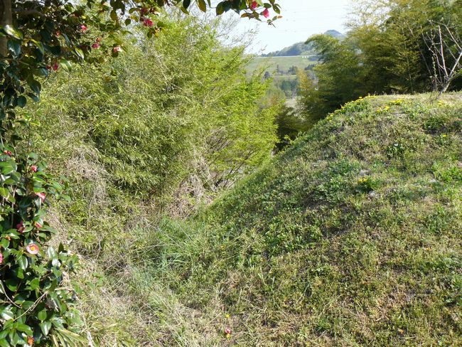 �����s�F�����