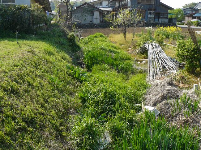 �����s�F�����