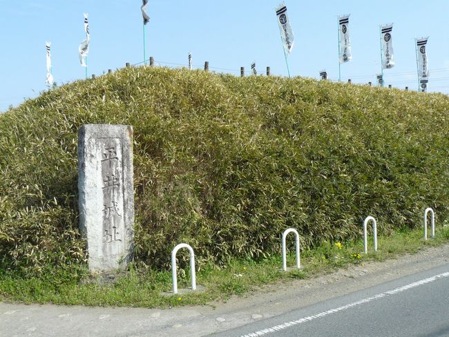 �����s�F�����