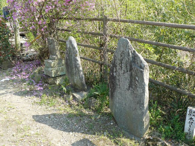 �����s�F�����