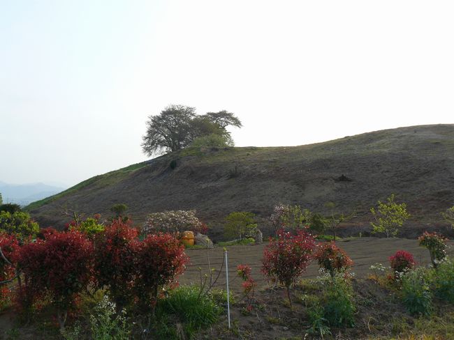 �����s�F��׎R�Õ�