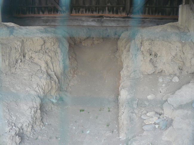 �����s�F�{�����֗q��