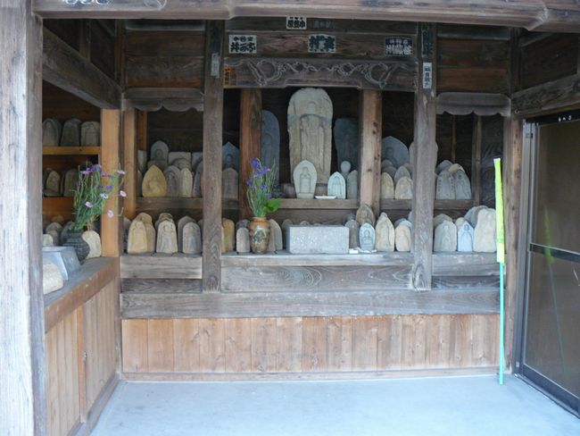 �����s�F�{�{���q��n����