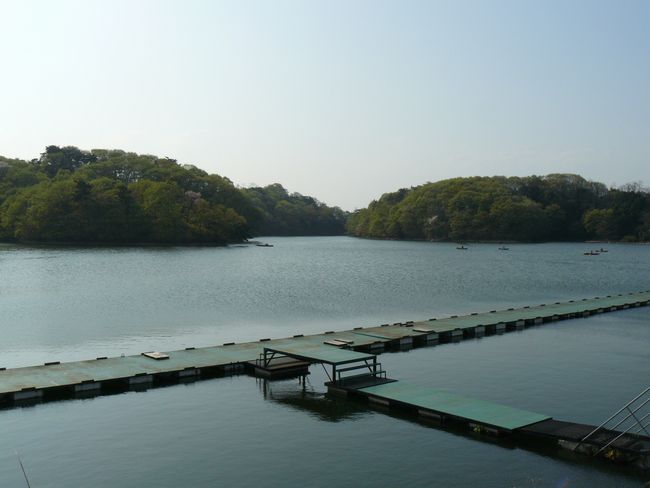 �����s�F�O����