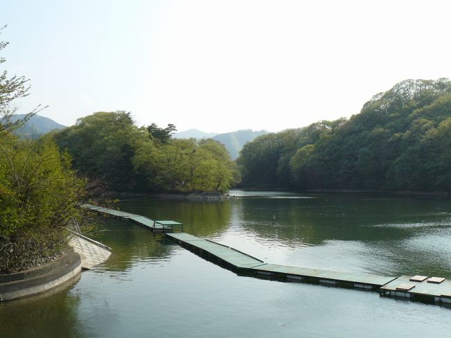 �����s�F�O����