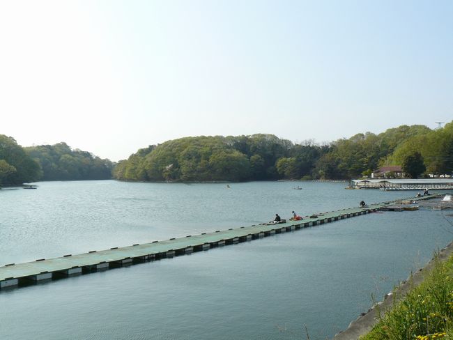 �����s�F�O����