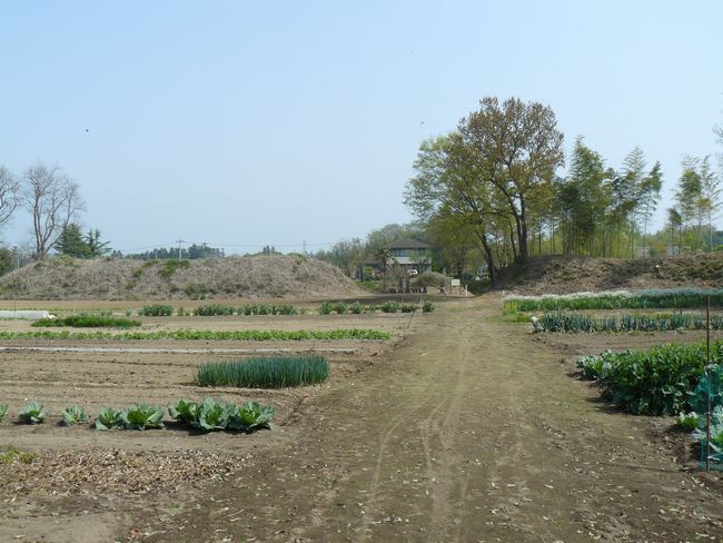 �ɐ���s�F�Ԗx��