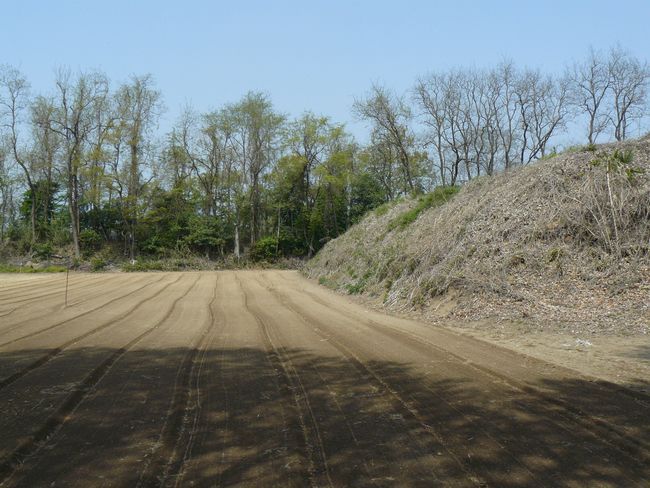 �ɐ���s�F�Ԗx��