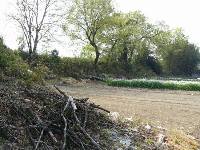 �ɐ���s�F�Ԗx��