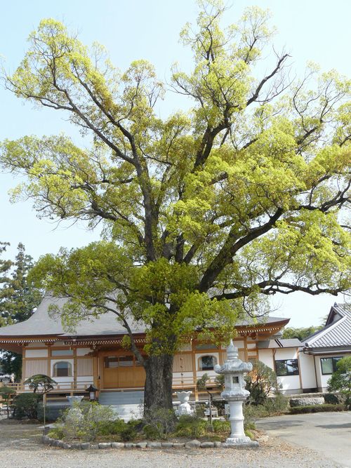 �ɐ���s�F��쎛