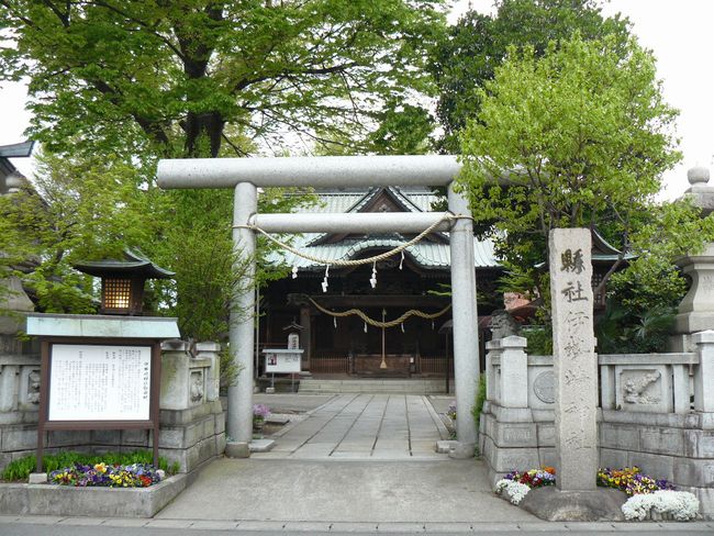 �ɐ���s�F�ɐ���_��