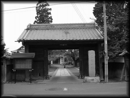 �ɐ���w��