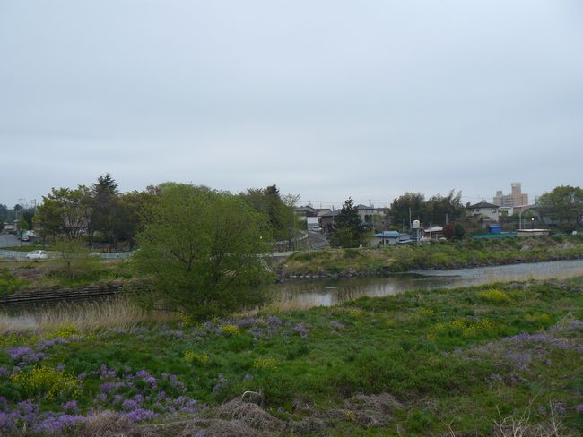 �ɐ���s�F�ɐ���w��