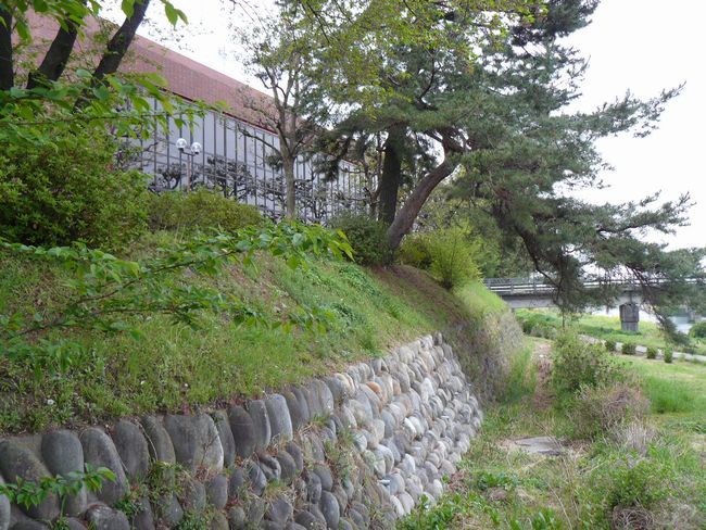 �ɐ���s�F�ɐ���w��