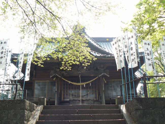 �ɐ���s�F�嗋�_��