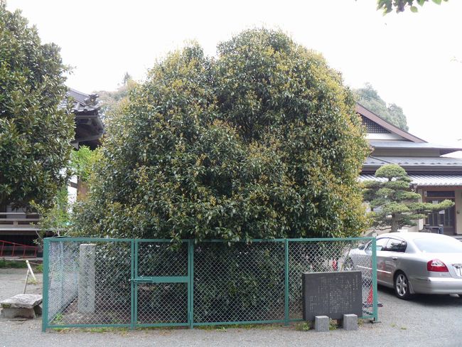 �ɐ���s�F�ؑ���