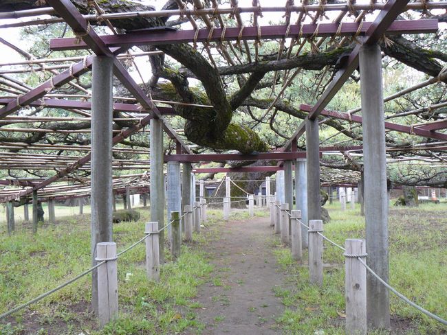 �ɐ���s�F�A��̏��i�����_�Ёj