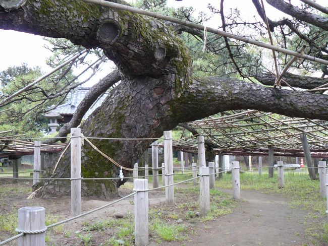 �ɐ���s�F�A��̏��i�����_�Ёj