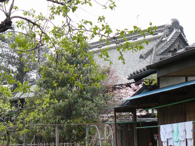 ���X���ƏZ��