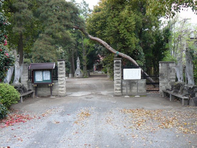 �ɐ���s�F�򗴎�