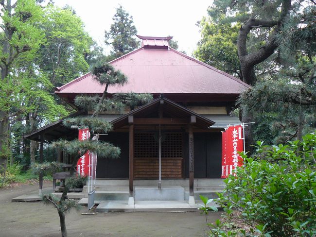 �ɐ���s�F�򗴎�