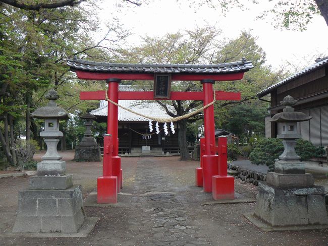 �ɐ���s�F�`���_��