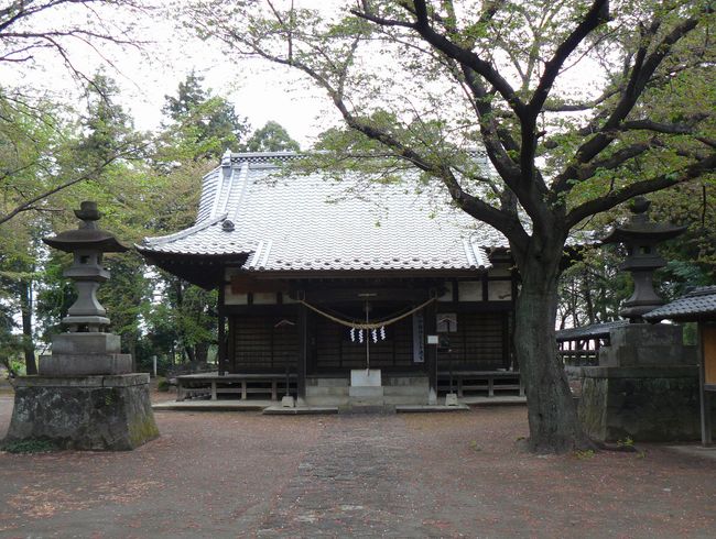 �ɐ���s�F�`���_��