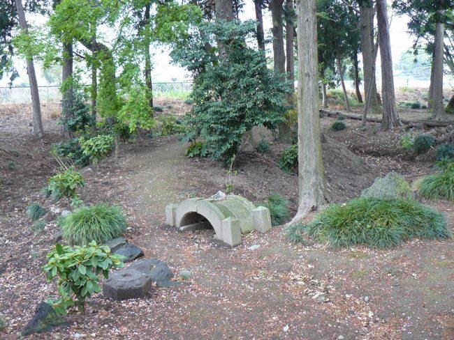 �ɐ���s�F�`���_��