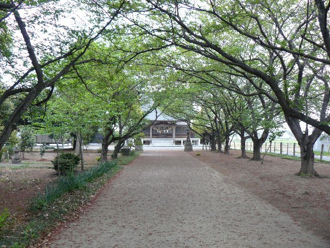 千代田町：長良神社