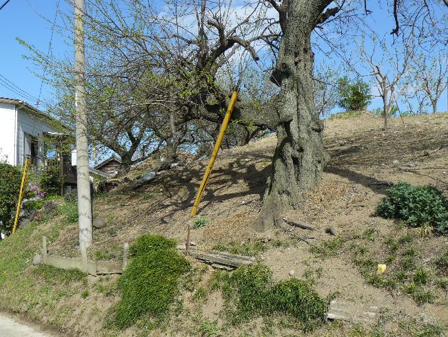 ��m�{�h�|���q���ˌÕ�