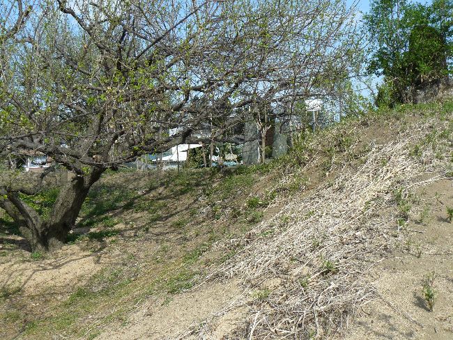 ��m�{�h�|���q���ˌÕ�