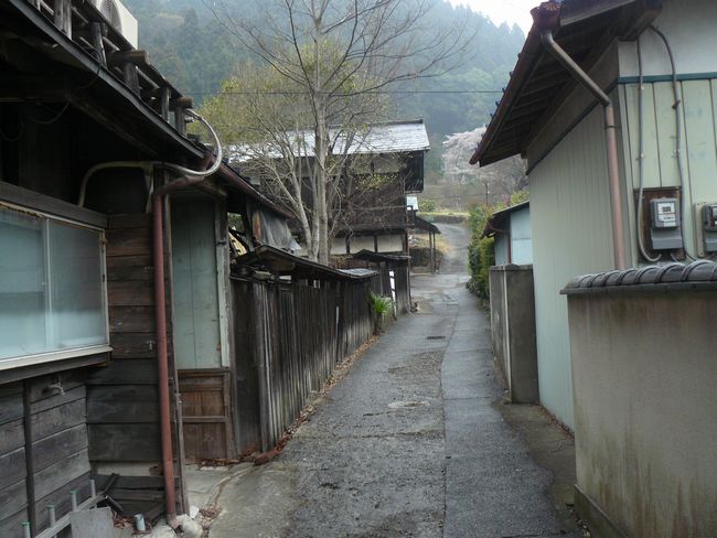 �{�h-������