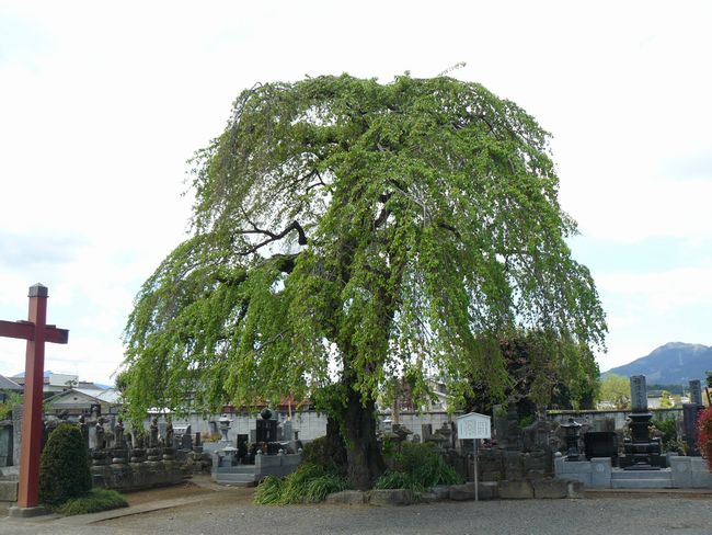 �{��h-������