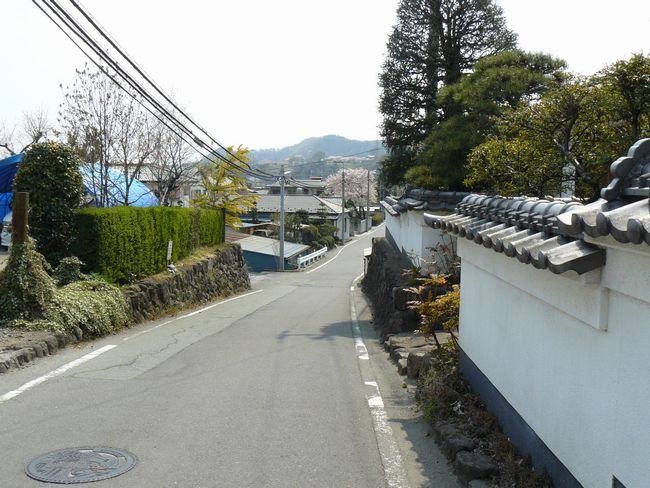 �O���X���F�k�q�h-������