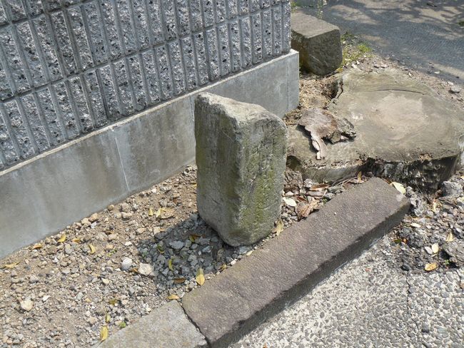 �O���X���F�k�q�h-������