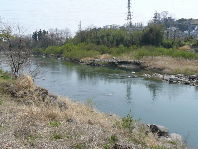 �O���X���F�k�q�h-������